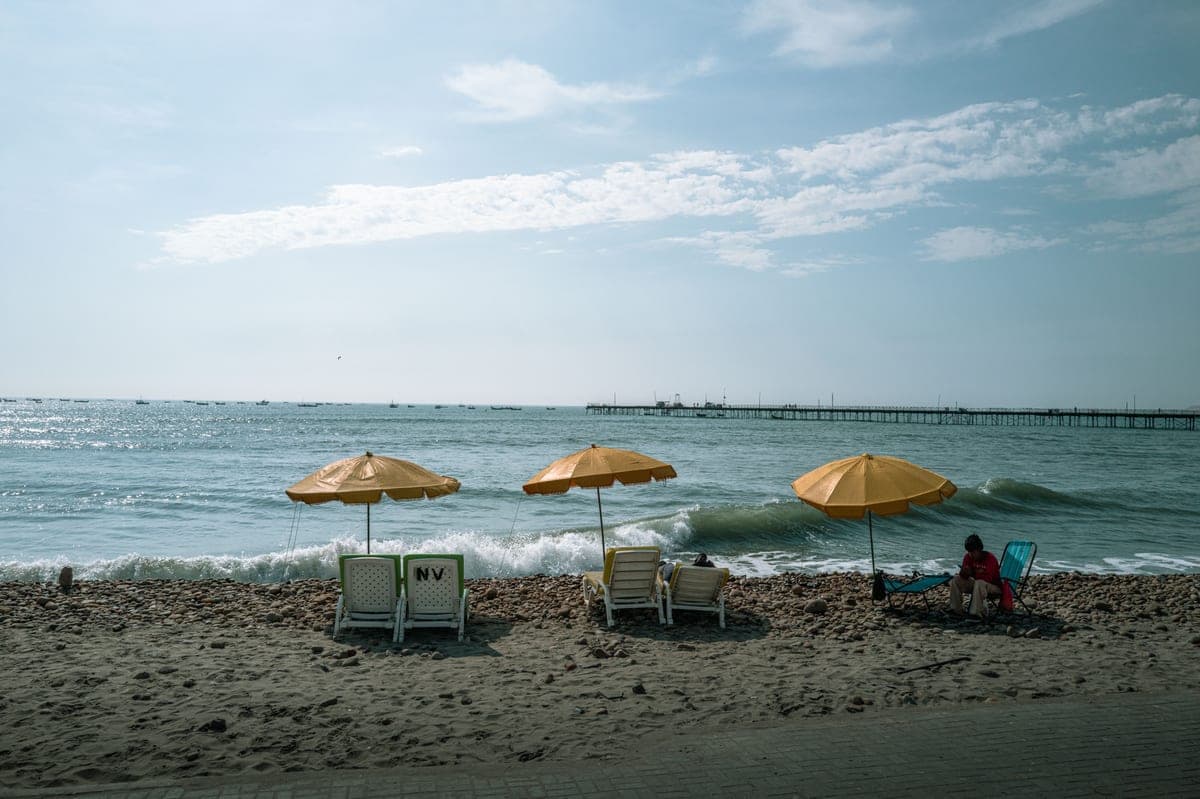 Rows of beach umbrellas on a sunny shoreline